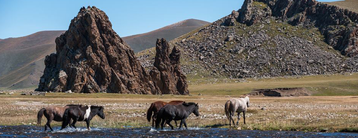 Шурангийн цохио